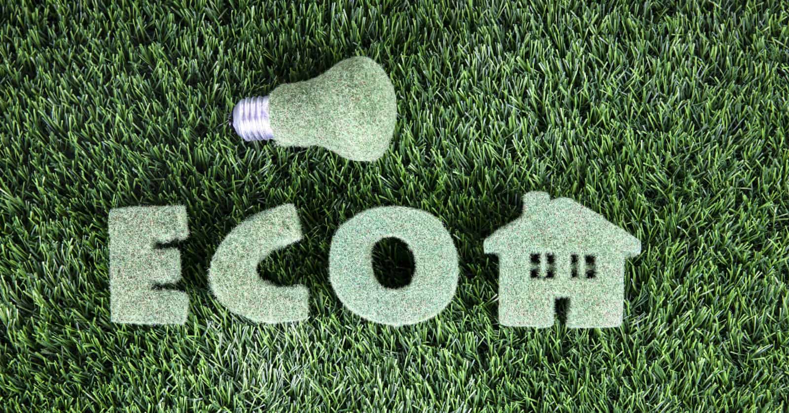 Eco friendly homebuilder graphic. Grass textured lightbulb and grass home cutout and the word ECO in grass ouline